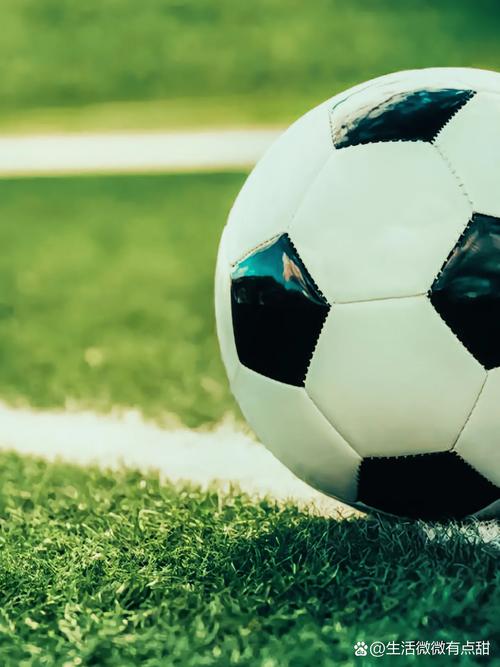 用户使用平台进行足球分析