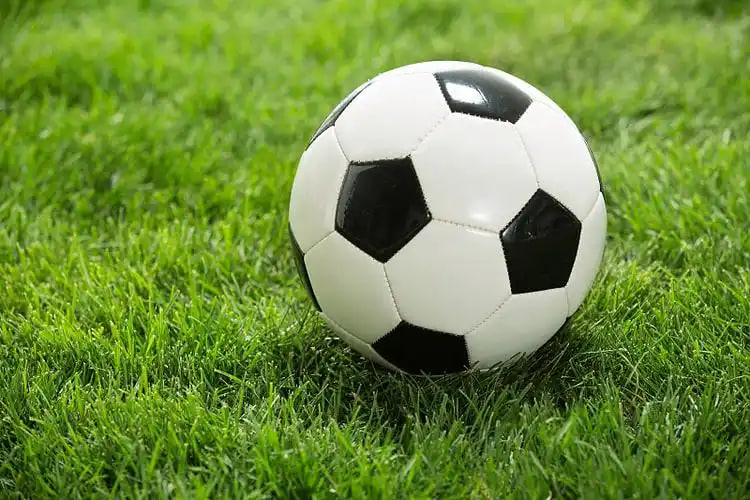 专业数据分析团队工作场景